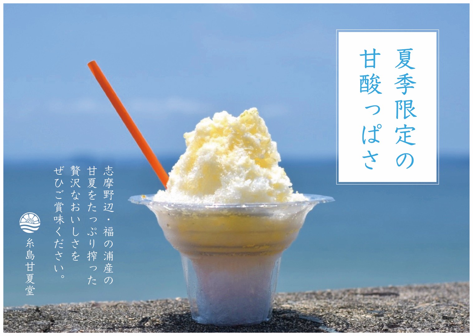トロピカルウミガメより愛を込めてモイスチャーかき氷サマー